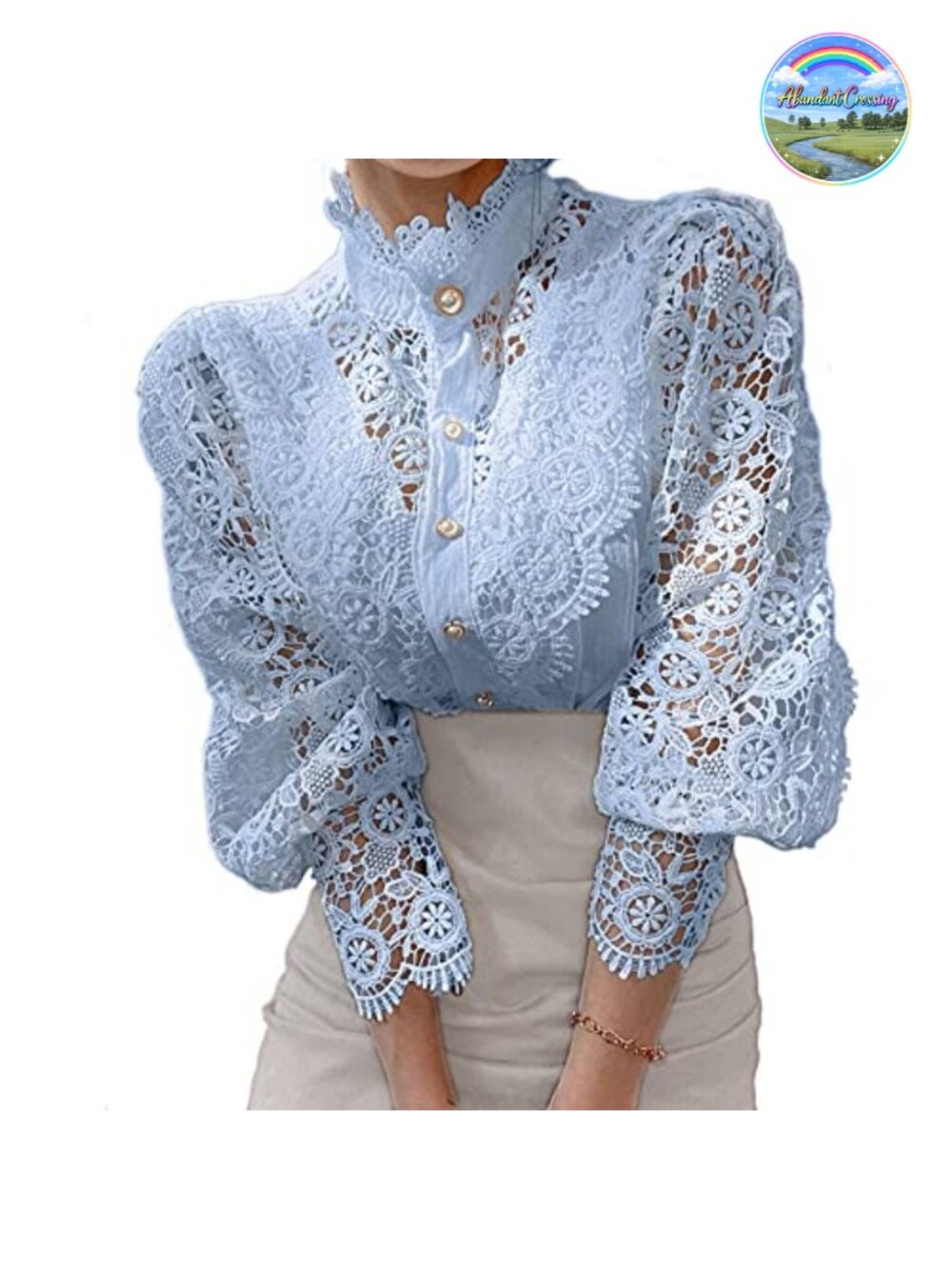 Lace Trim Victorian Blouse Button Down Puff Sleeve Business Top
